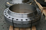 High Quality ASTM A182 304/316L RF Stainless Steel WN Welding Neck Flanges