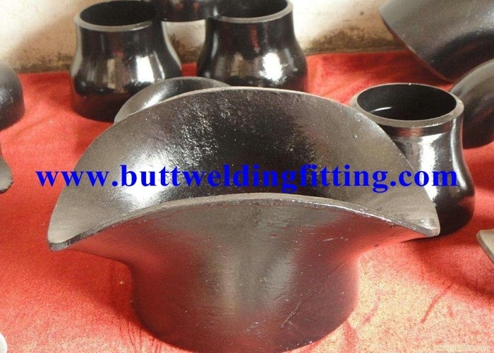 Standard Forged Pipe Fittings Stainless Steel A182 F316 Sweepolet / Saddle
