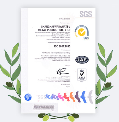 स्टेनलेस स्टील 40*32 DN एक्सेन्ट्रिक रिड्यूसर WP316LN SCH80 SCH40 10