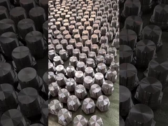 स्टेनलेस स्टील प्लग