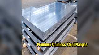 प्रीमियम स्टेनलेस स्टील फ्लैंज 304 316एल फोर्ज्ड प्लेट