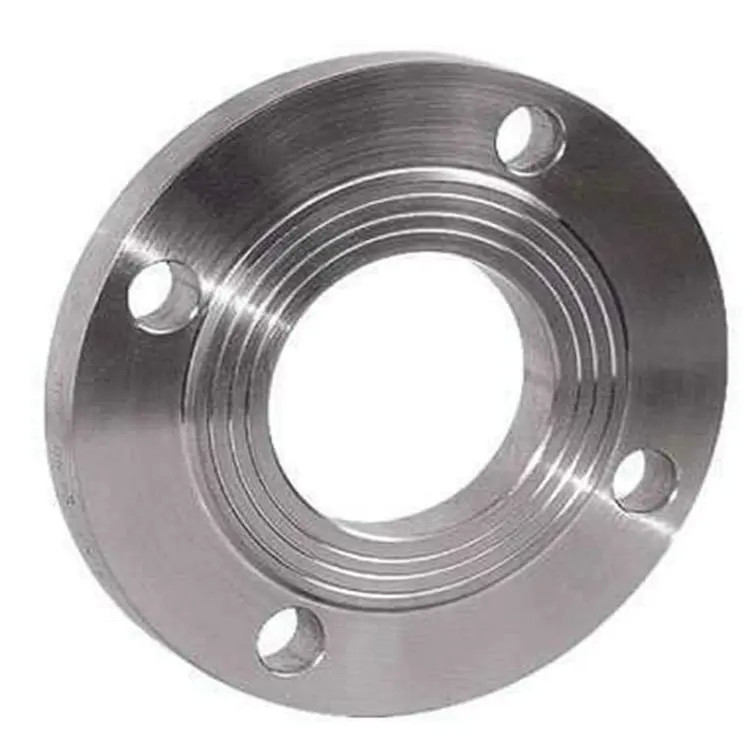 Europe Standard ASTM A105 Carbon Steel / Stainless Steel Forged Flanges