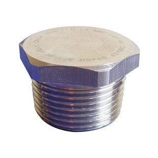 Plug Threaded Fitting Forged Pipe Fitting NPS 1/2