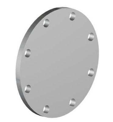 Blind Flange ASME B 16.5/ASME B16.47 JISB2220 Duplex Stainless Steel Forged Flange ASTM A182 F60/F51/A182 F53